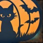 Lightbox Citrouille Chat Noir Lightbox Citrouille Chat Noir