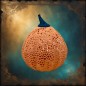 Linterna Calabaza Calada Halloween Linterna Calabaza Calada Halloween