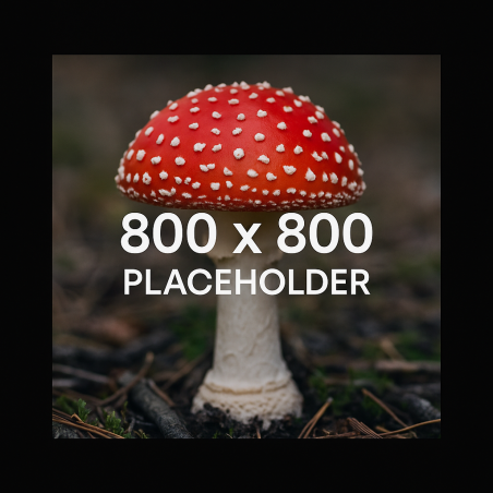 Alchemistisches Amanita-Öl – L’Emporium Alchimique