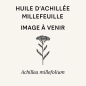 Huile d'Achille Millefeuille
