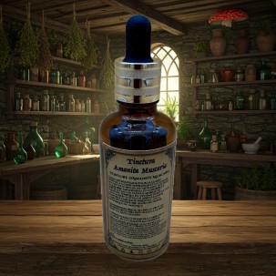 Amanita Muscaria Tincture – Elixir of the In-Between Worlds