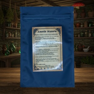 Trinidad de Amanita – Hongos, Aceite & Tintura