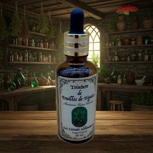 Fico Sacro – Olio e Tintura Spagirica per Rito, Calma e Equilibrio