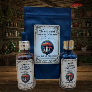 Amanita-Set – Tee, Öl & Tinktur für Rituale & Innenschau